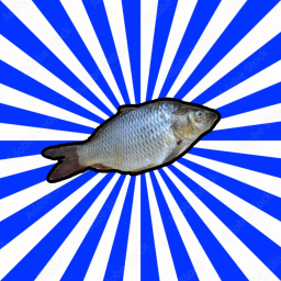 Fish Pit