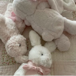 dollshop