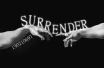 め SURRENDER Group Thumbnail