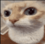 coems :moneymouthface: