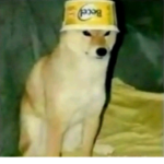 Amigos d electro >:))