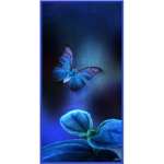 Groupe des papillon