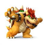 Bowser Fan Club!