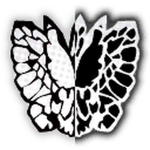 Butterfly Mortuary