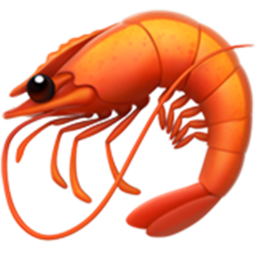 shrimp island