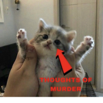 whahaba