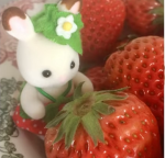 Strawberry milk people