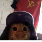 окококок