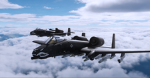 A-10 Warthog Black Snake flight group