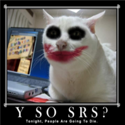 FUNNY CAT Roblox decal