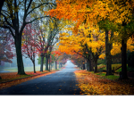 Jillianloves fall