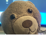 Teddys home abode