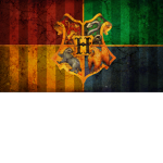 Harry Potter fans united!
