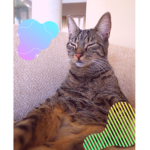 ##### Kats!! X3
