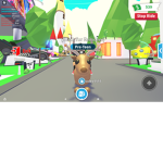 Black Fur Reindeers