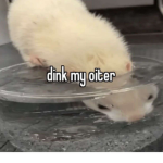 dink my oiter