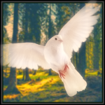 Arcus: Survival