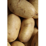 Hiss the potato
