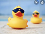 Ellie’s duckling squad