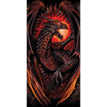 Dark Dragon gang