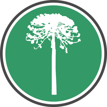 Araucarias Forest