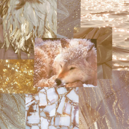 Wolf Pack Homestore Aesthetic