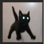 Diixiie_B00115