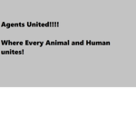 Agent's United