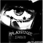 Playsensee