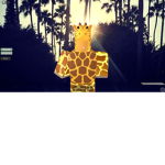 Chubby Giraffes