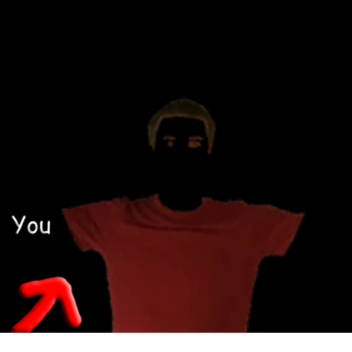 NULL Simulator