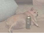 A little potato