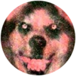 SMILE DOG!