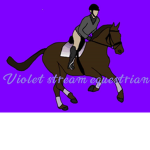 Violet Stream Equestrian