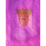 StrawberryAngies