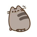 Pusheen Chat