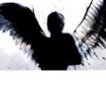 TheShadow Clan