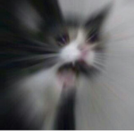 친구 할사람?