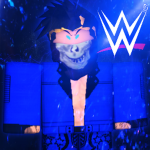 WWE-ATTIRES