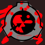 CI RAID GROUP - RAID SITE - 11 GROUP