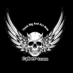 Cyber_team