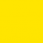 |Yellow Gang|
