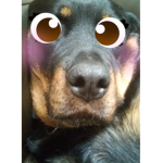 sehghjnsgjlnghnengnsg
