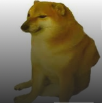 doge forever and ever
