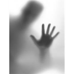 Shadow 2-1