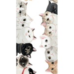 PARTY PAW