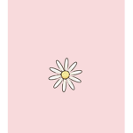 My sweat daisy’s