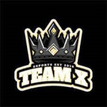 Official Team X Group