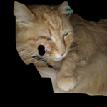 Chester the cat:(