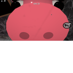 Piggy Shipper's Club